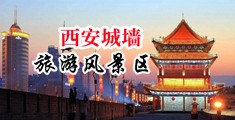 逼逼爽动态中国陕西-西安城墙旅游风景区